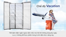 Tủ lạnh Samsung Inverter 655 lít Side By Side RS62R5001B4/SV
