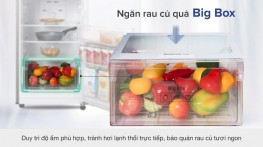 Tủ lạnh Samsung Inverter 208 lít RT20HAR8DBU/SV