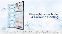 Tủ lạnh Samsung Inverter 236 lít RT22M4032BU/SV