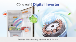 Tủ lạnh Samsung Inverter 307 lít RB30N4170BU/SV
