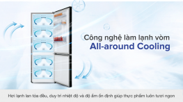 Tủ lạnh Samsung Inverter 307 lít RB30N4170BU/SV