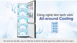 Tủ lạnh Samsung Inverter 307 lít RB30N4190BU/SV