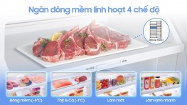 Tủ lạnh Samsung Inverter 305 lít Bespoke RT31CB56248ASV