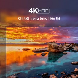 Google Tivi TCL 4K 43 Inch 43T66