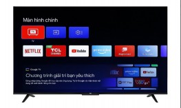 Google Tivi TCL LED 4K 55 inch 55P638