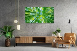 Smart Tivi LG 4K 50 inch 50UQ8000PSC